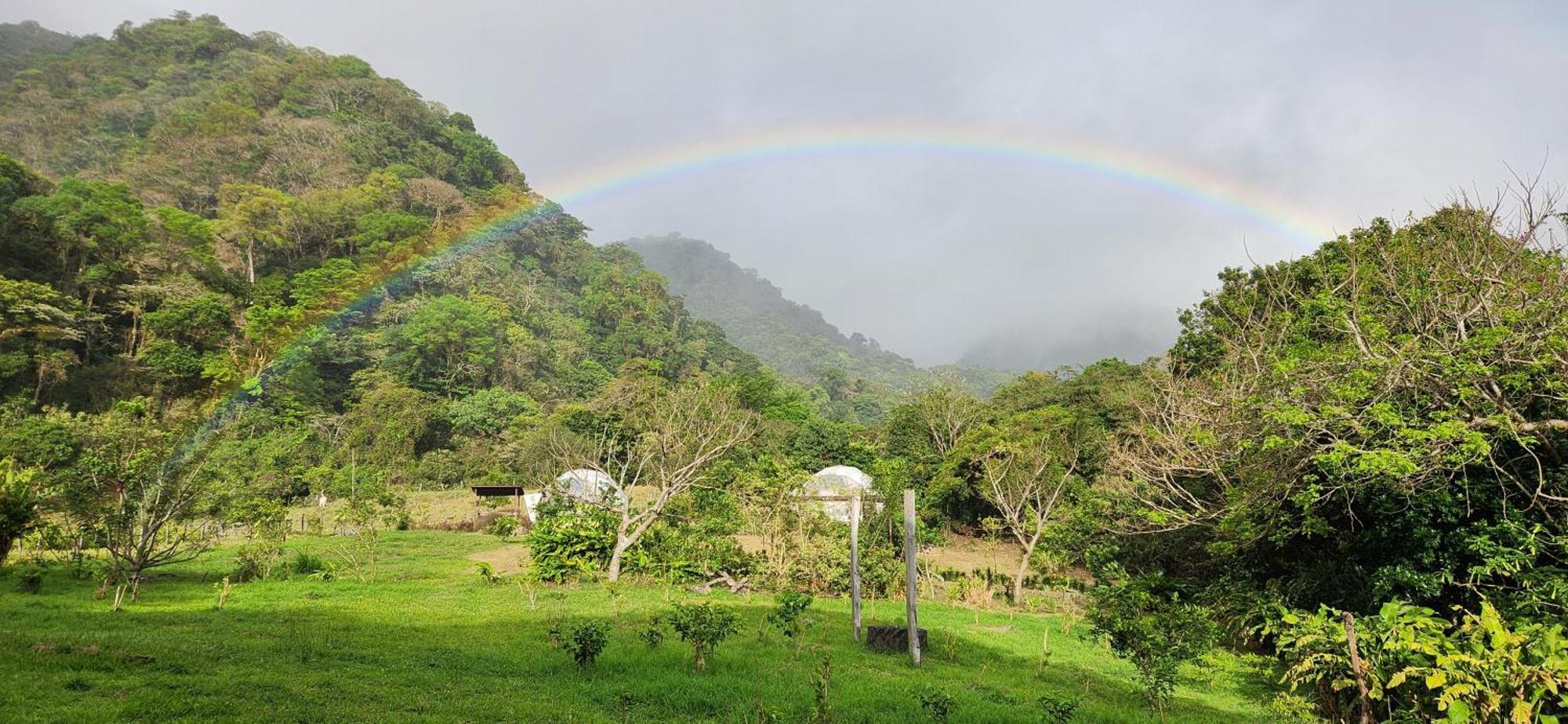 Glamping Monteverde 外观 照片