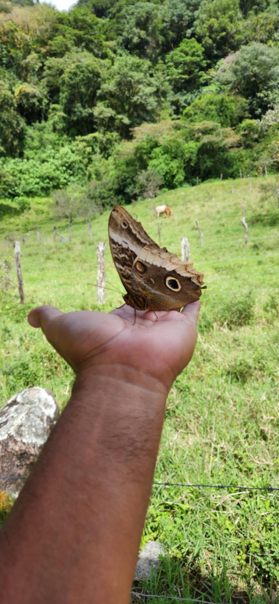 Glamping Monteverde 外观 照片