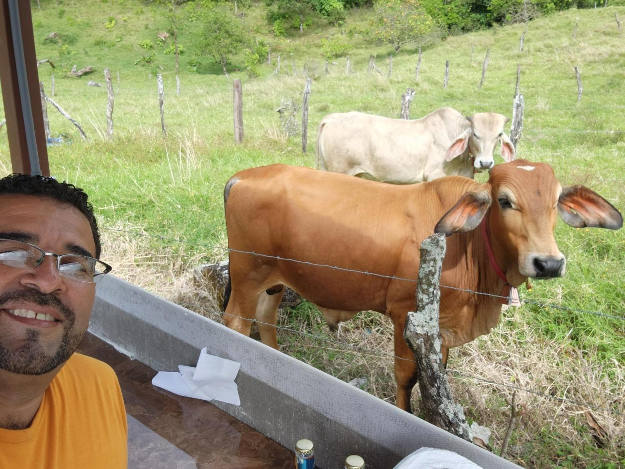 Glamping Monteverde 外观 照片